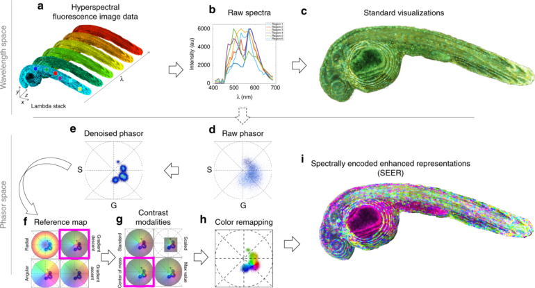 Pre-processing visualization of hyperspectral fluorescent data ...