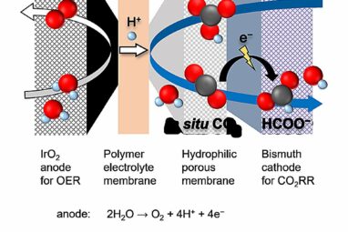 Scientists reveal new electrochemical cell design for turning ...