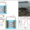 Self-charging energy harvester generates electricity from seawater