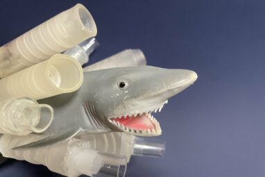Shark intestines inspire a new way to keep fluid flowing in one ...