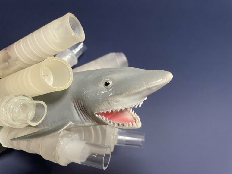 Shark intestines inspire a new way to keep fluid flowing in one ...