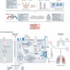 Soil and water pollution: An invisible threat to cardiovascular health