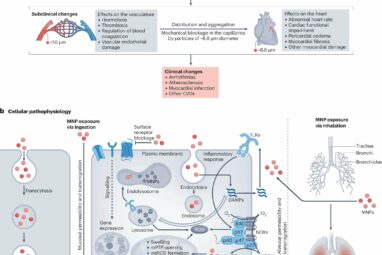 Soil and water pollution: An invisible threat to cardiovascular health