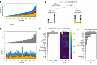 Soil pH drives microbial community composition: Study shows how ...