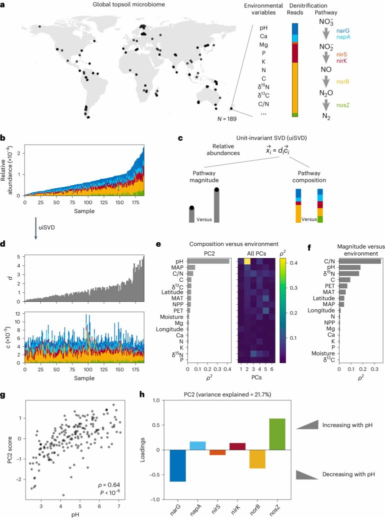 Soil pH drives microbial community composition: Study shows how ...