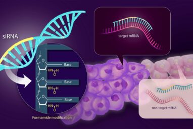 Solving the side effect problem of siRNA drugs for genetic disease ...