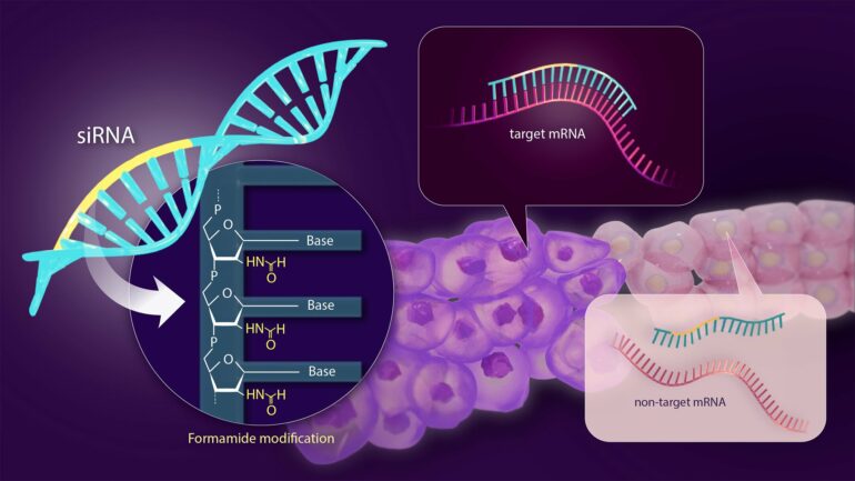 Solving the side effect problem of siRNA drugs for genetic disease ...