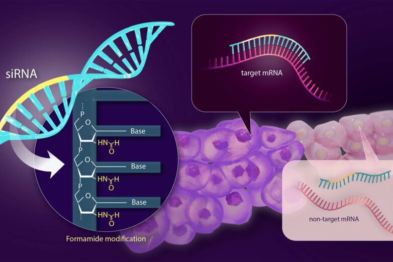 Solving the side effect problem of siRNA drugs for genetic disease ...