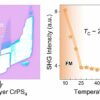 Strong magnetic second harmonic generation effect discovered in ...