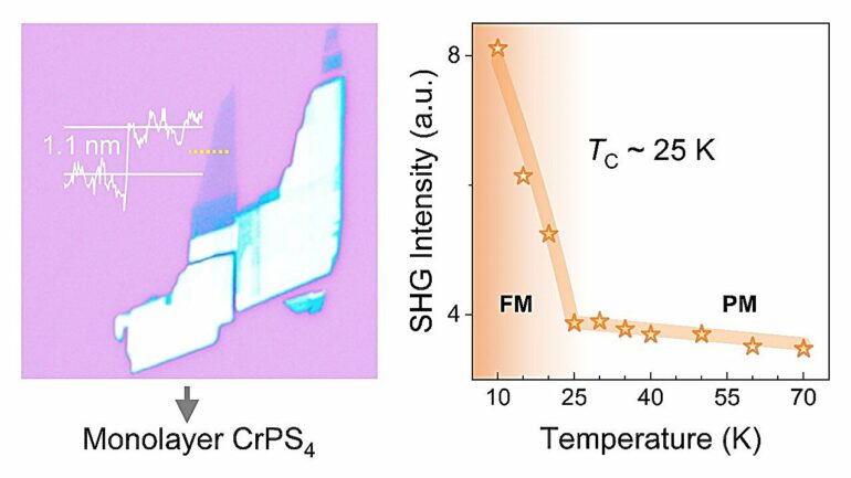 Strong magnetic second harmonic generation effect discovered in ...