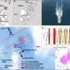 Study highlights complex ocean conditions facing world's most ...