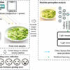 Study offers improvements to food quality computer predictions