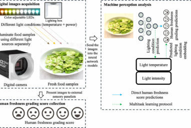 Study offers improvements to food quality computer predictions