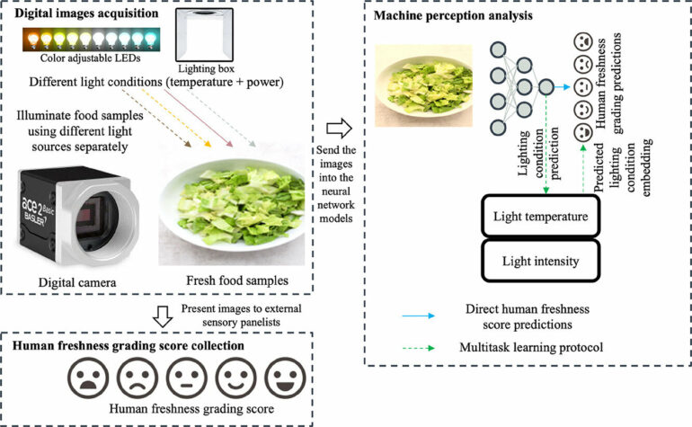 Study offers improvements to food quality computer predictions