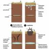 Study offers new explanation for Siberia's permafrost craters