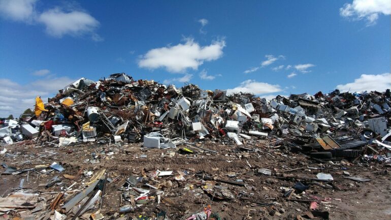 Study reveals food waste bans ineffective in reducing landfill ...