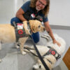 Study shows therapy dog program works as needed mood-booster for ...