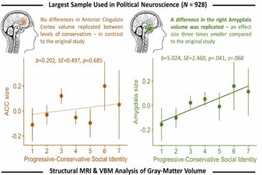 Study suggests political ideology is associated with differences ...