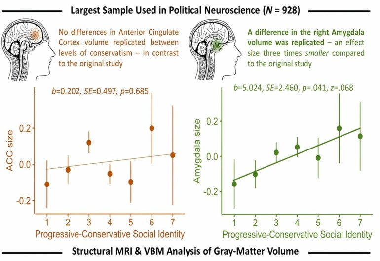 Study suggests political ideology is associated with differences ...