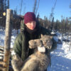 Study tracks traveling population wave in Canada lynx