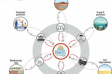 Sweeping global study charts a path forward for climate-resilient ...