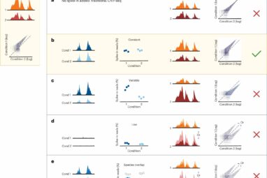 Technique to study how proteins bind to DNA is easily misused ...