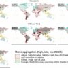 Clean energy transition: The impact of financial costs on the ...