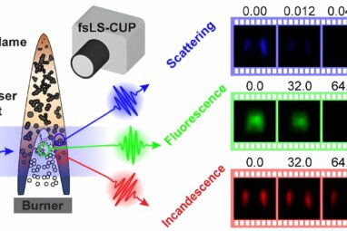 The world's fastest single-shot 2D imaging technique films ...