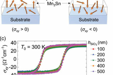 Thermal effects in spintronics systematically assessed for first time