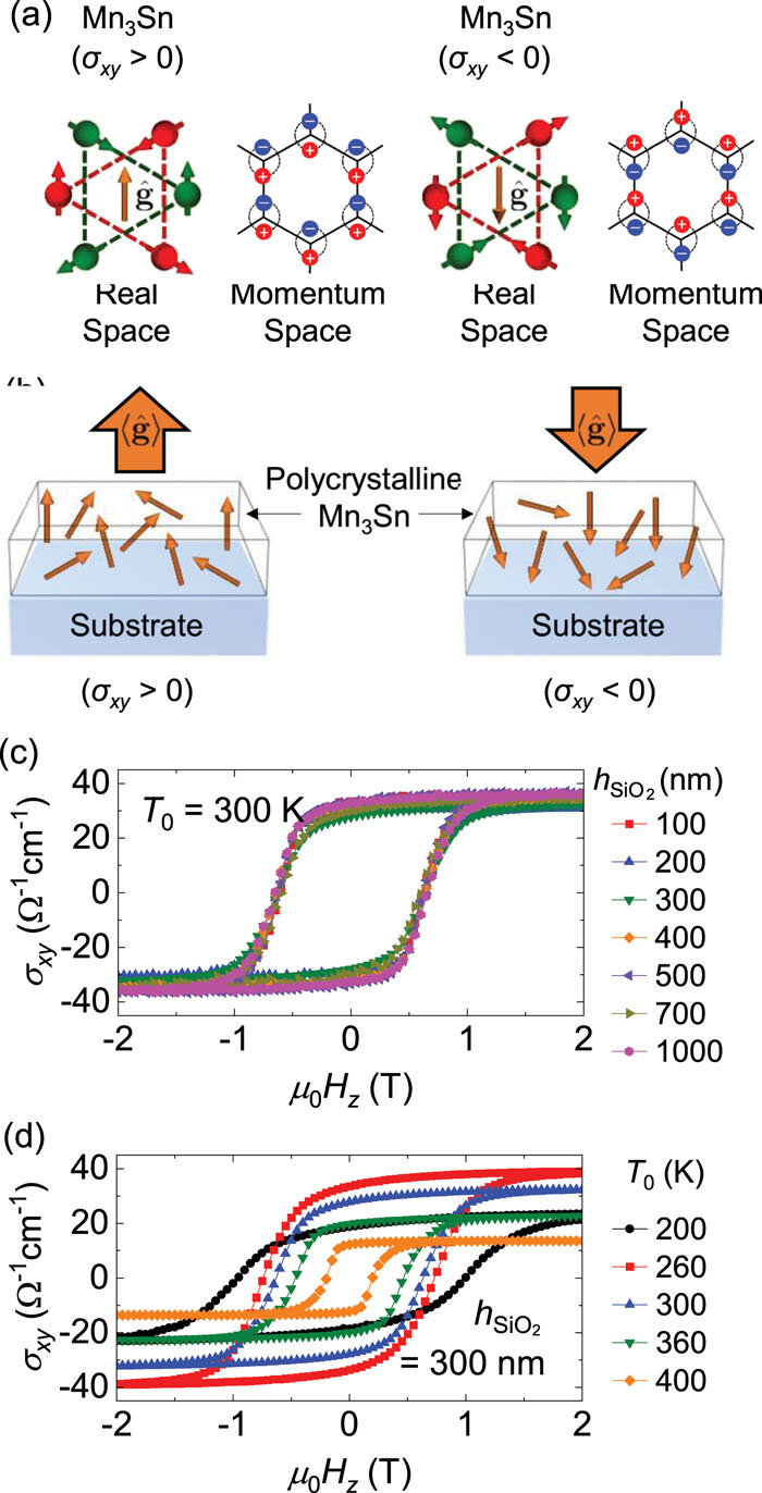 Thermal effects in spintronics systematically assessed for first time