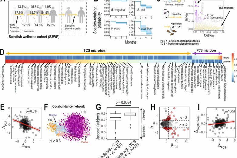 Transient' gut bacteria may affect health and guide diet choices