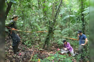 Tropical forests face increased soil carbon loss due to climate change