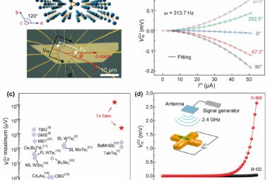 Tunable nonlinear Hall effect observed at room temperature in ...