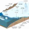 Understanding Antarctica's contribution to sea level rise