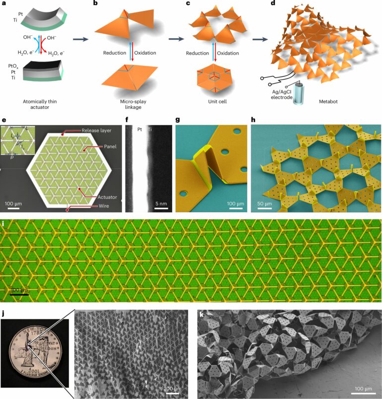 Versatile microscale robots can fold into 3D shapes and crawl