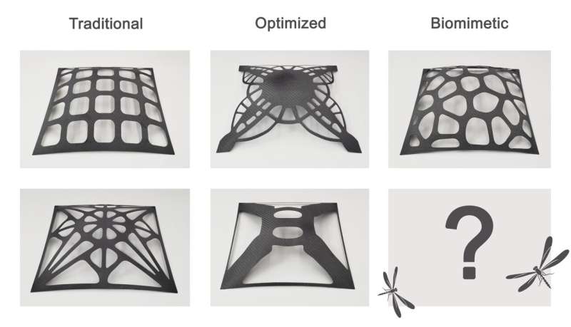 Dragonfly wing pattern beats architectural solutions by ancient Romans and cutting-edge algorithms