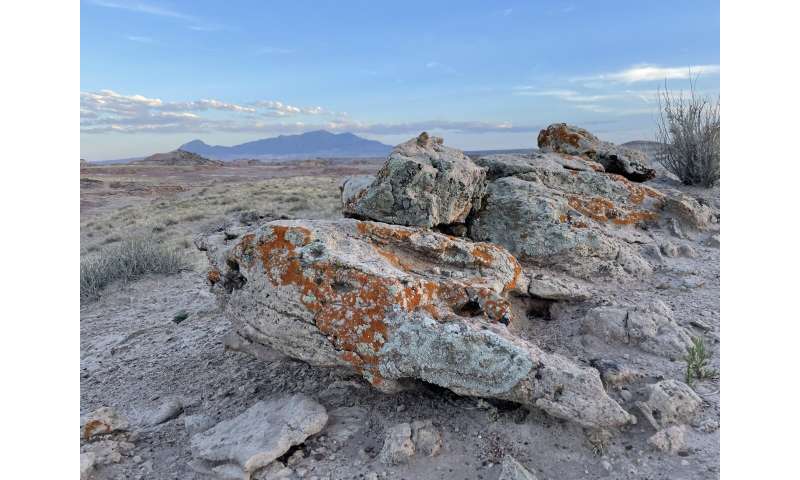 Lichens on Mars*!