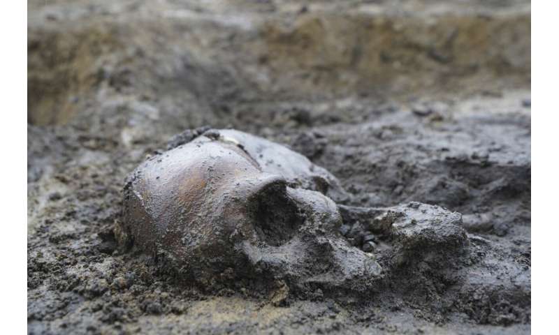 In Denmark, 50 well-preserved Viking Age skeletons have been unearthed, a rare discovery