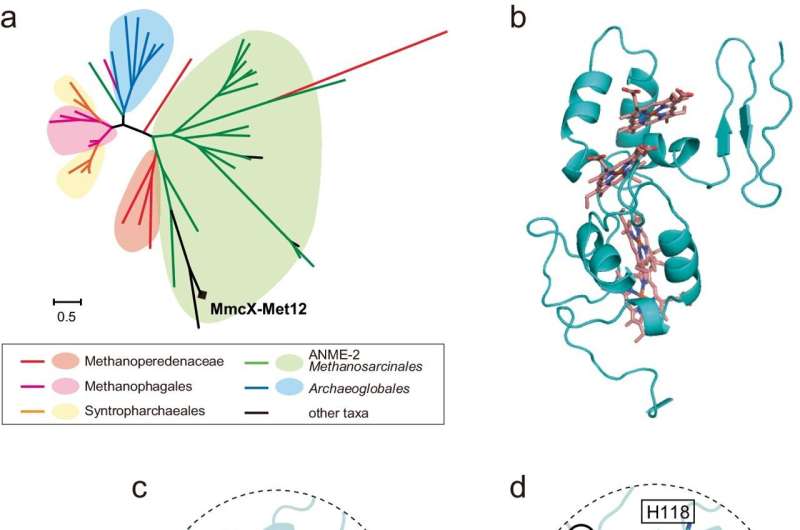 Microbe opens the door to carbon dioxide–driven manufacturing