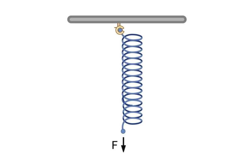 Deciphering the Language of Cells: How They Sense and Respond to Mechanical Forces