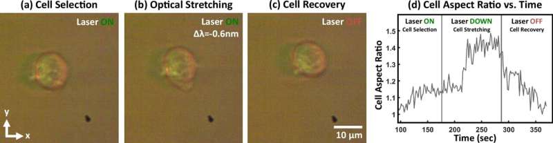 Engineers create a chip-based tractor beam for biological particles