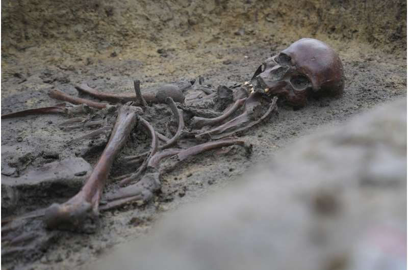 In Denmark, 50 well-preserved Viking Age skeletons have been unearthed, a rare discovery