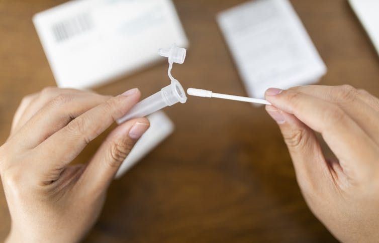 Person inserting cotton swab into test tube for a rapid test