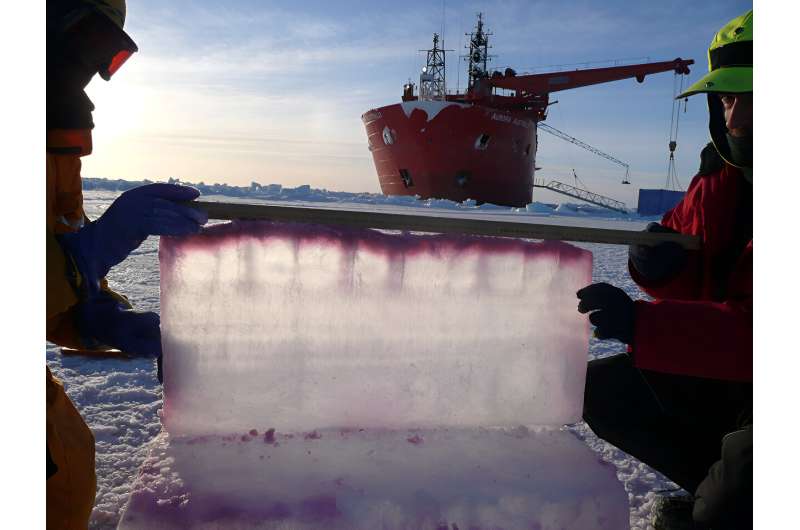 Unpacking polar sea ice