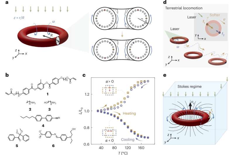 Breakthrough in soft robotics: First toroidal micro-robot to swim autonomously in viscous liquids