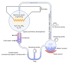 Diagram depicting a flask of water heated and siphoned to another flask filled with gases and lightning simulating the early atmosphere, the subsequent liquid condensed and cooled in another set of tubes