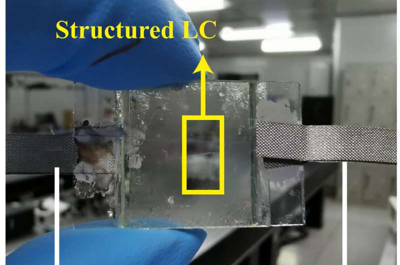 Researchers harness liquid crystal structures to design simple, yet versatile bifocal lenses