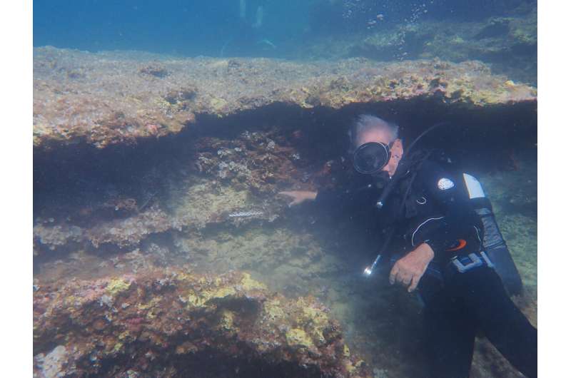 Underwater caves yield new clues about Sicily's first residents