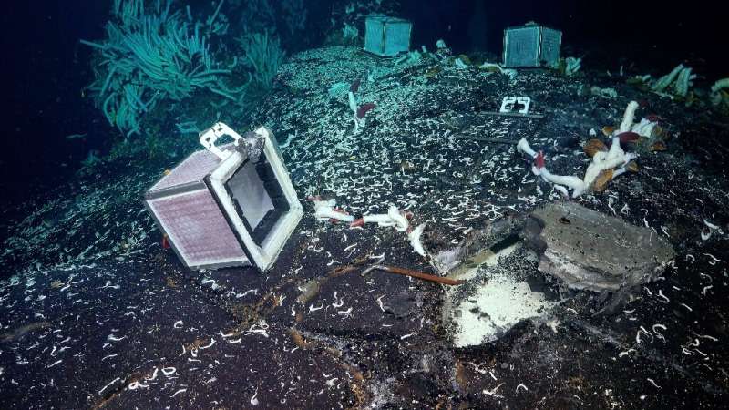 Photographie non datée fournie par le Schmidt Ocean Institute montrant des expériences sur le fond marin à 2.500 mètres de profondeur, au site de l'évent Tica, sur la dorsale est-Pacifique