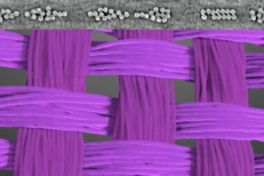 Falling for it: A micro-scale look at how parachute fibers act ...